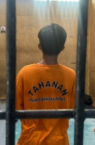 IMG-20250113-WA0167